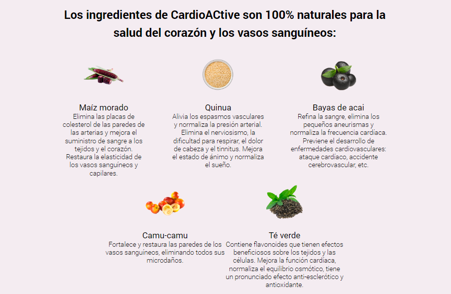 Cardio Active Mexico
